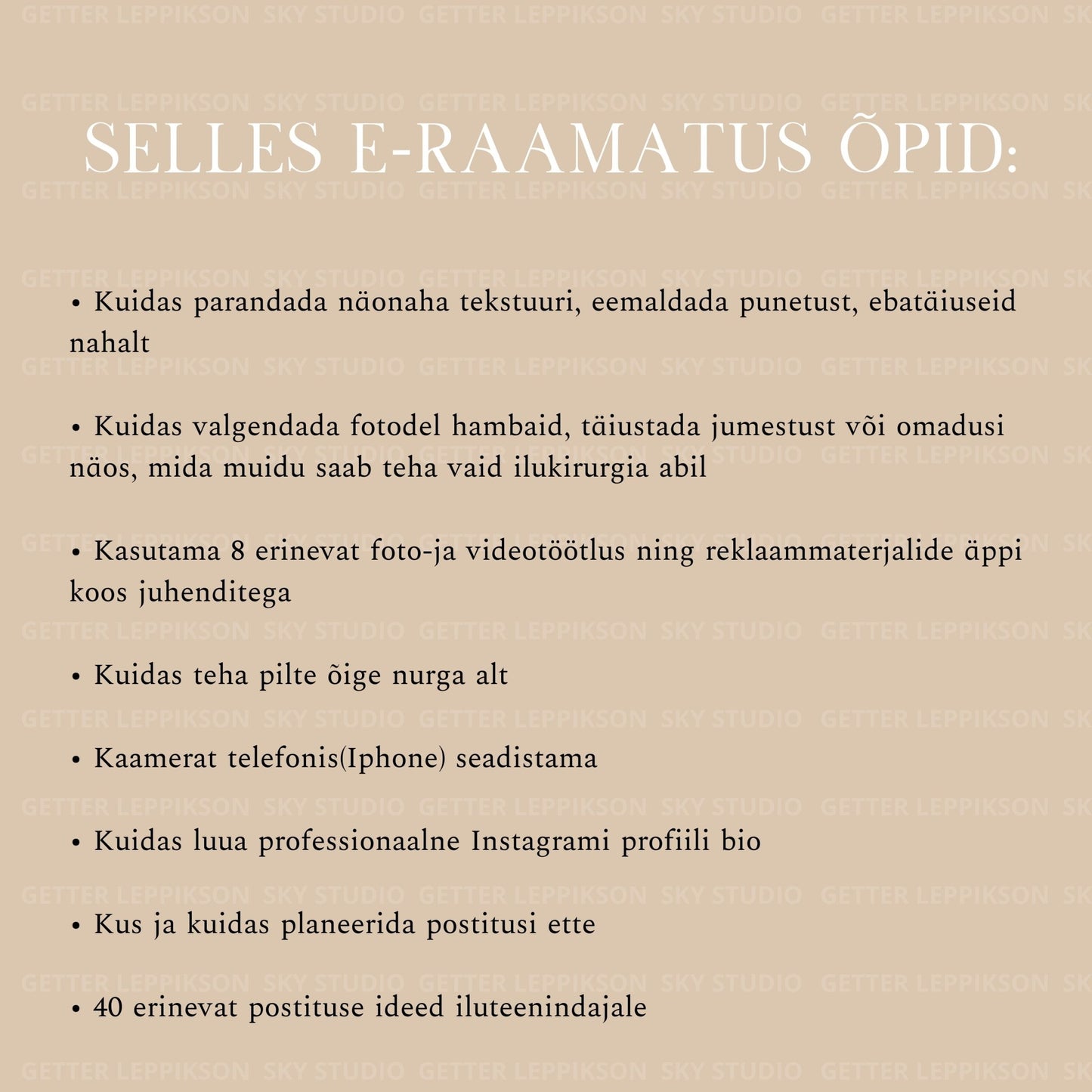 Pilditöötluse ja postituste ideede E - Raamat Iluteenindajale - Sky Studio